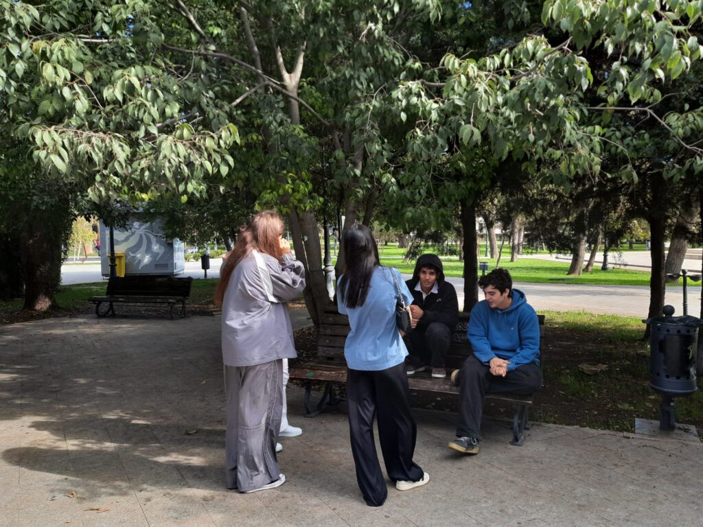 poza workshop